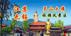 快操我的视频江苏无锡灵山大佛旅游风景区